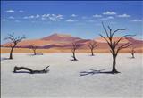 Dead Vlei by John Rowland, Painting, Pastel on Paper