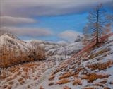 Tarn Hows by John Rowland, Painting, Pastel