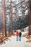 Winter in Glen Tanar 1 by John Rowland, Painting, Pastel on Paper